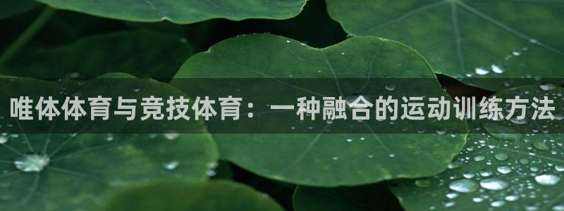 bbin视讯游戏官网：唯体体育与竞技体育：一种融合的运动训练方法