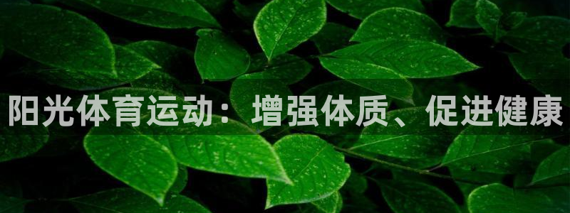 bbin视讯游戏官网：阳光体育运动：增强体质、促进健康