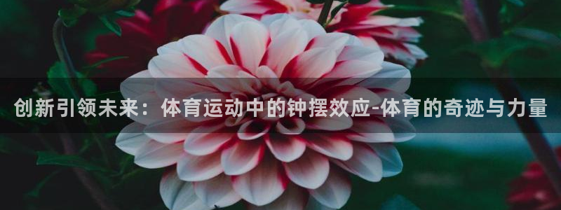 bbin视讯游戏官网：创新引领未来：体育运动中的钟摆效应-体育的奇迹与力量