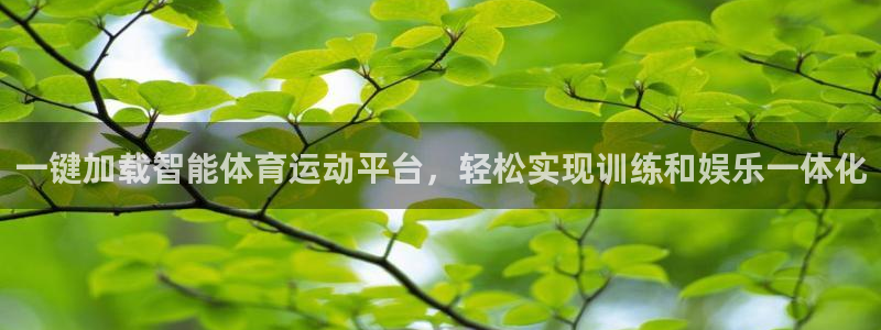 bbin视讯