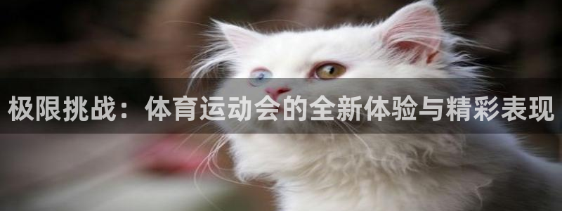 bbin视讯游戏官网：极限挑战：体育运动会的全新体验与精彩表现