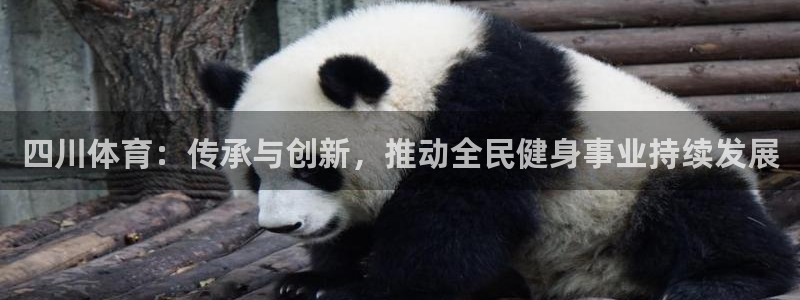 bbin视讯下：四川体育：传承与创新，推动全民健身事业持续发展